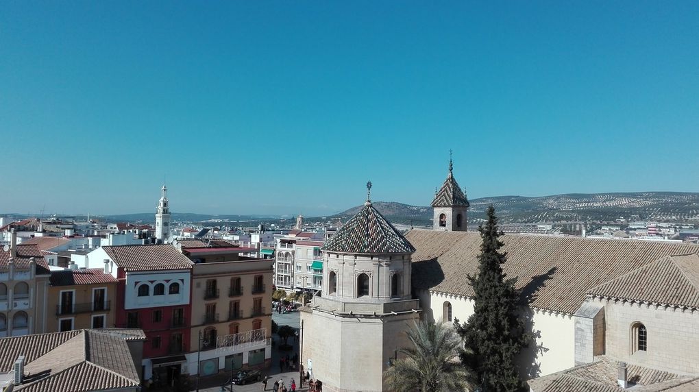 Randonnée dans la Sierra Carbonera : nature et bunkers historiques