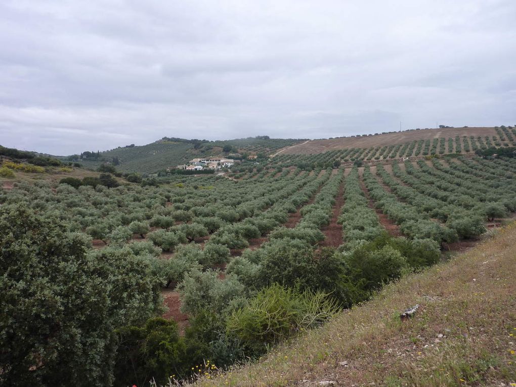 IPSistemas à Guadiaro : dépannage informatique fiable et rapide
