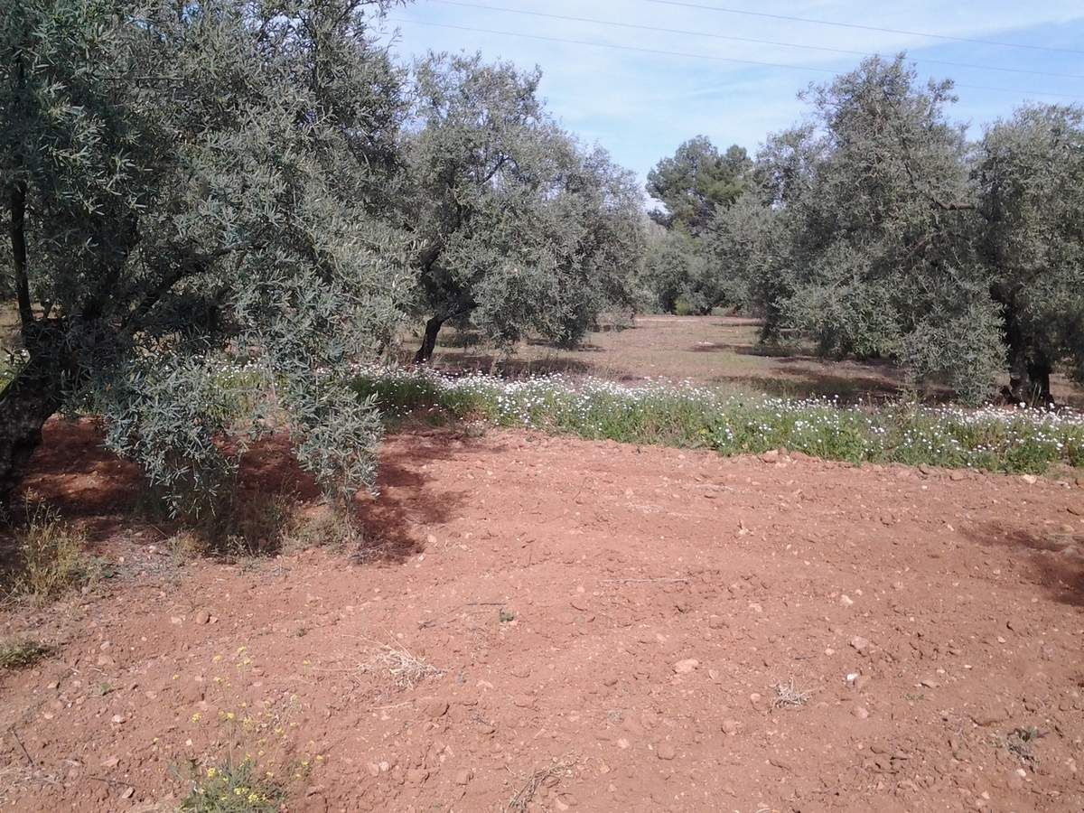Le désert de Tabernas : un décor de cinéma en Andalousie