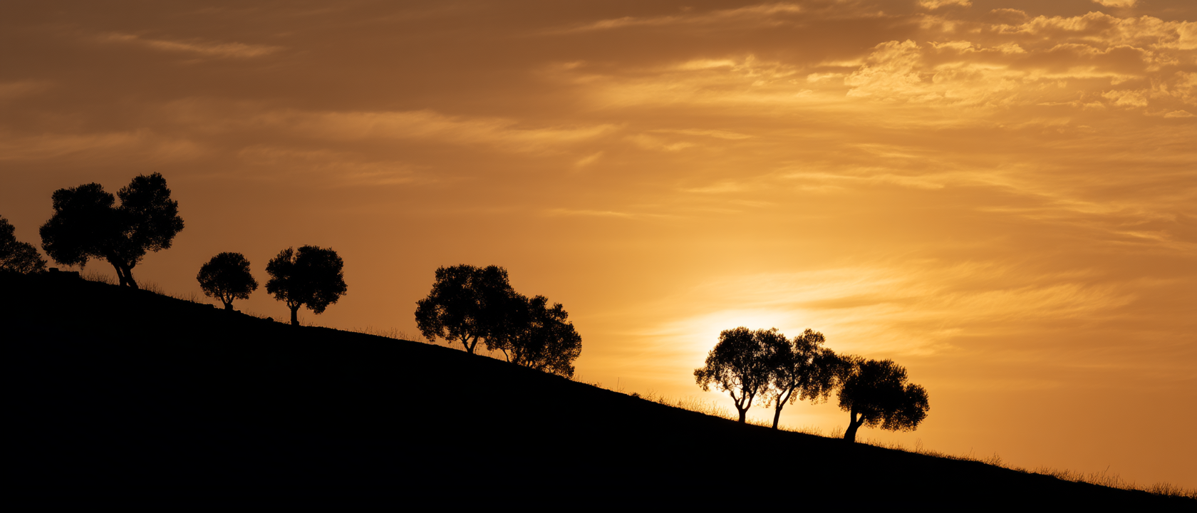 Playa Alcaidesa : plage sauvage et panoramas sur Gibraltar